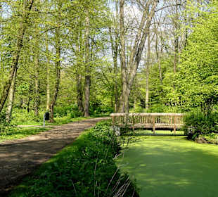 Wege und Wasserläufe im Wolfskuhlenpark