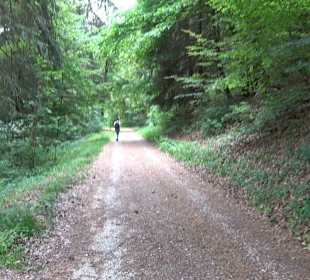 Waldlehrpfad in Tieringen