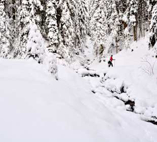 Wandern St. Martin Tennengebirge