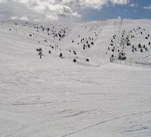 Mucha nieve