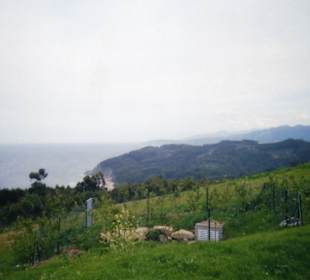 La costa desde el museo