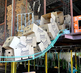 Zuführung der Kartons