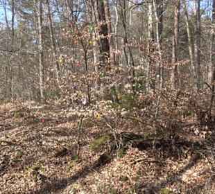 Historischer Rundwanderweg Aichtal