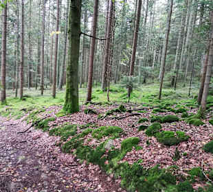 Wandern Lam