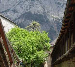 Es geht immer noch höher