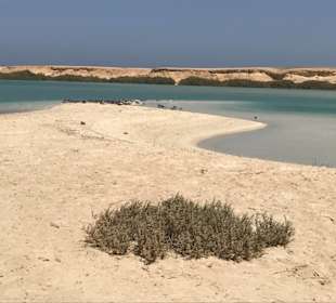 El Qulann Lagoon 