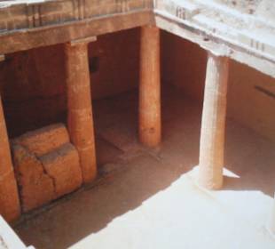 Die Größe & Art der Königsgräner ist sehr faszinierend