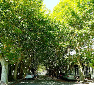 Colonia del Sacramento