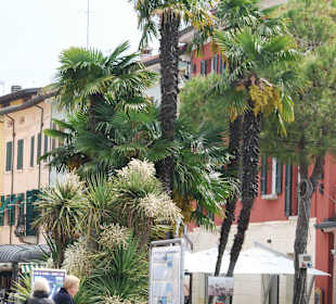 Am Hafen von Sirmione