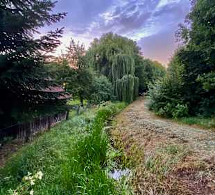 Wandern Hitzacker (Elbe)