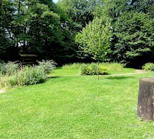 Impressionen aus dem Sinnesgarten Lopshof