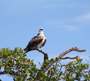 Nationalpark Sian Ka'an
