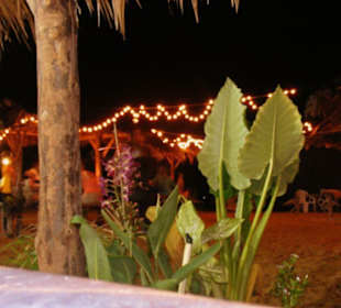 Tonson Bar & Restaurant