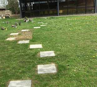Friedhof Seißen