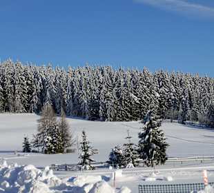Wandern Neuhaus am Rennweg