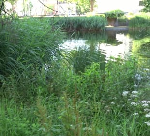 Seegarten-Anlage / Kurfürsten-Anlage