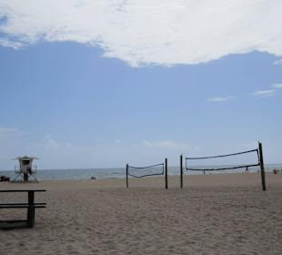 Angeblich ist im März Hochsaison