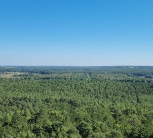 Ausblick