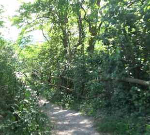 Früchtetrauf - Wurmlinger Kapellenwegle