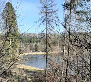 Gelterswoog in Kaiserslautern