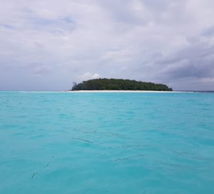 Tourguides  Nabil & Klaus Mohamed