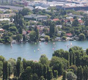 Alte Donau