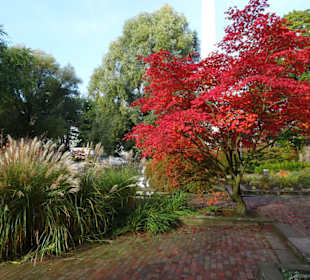 Rundgang durch das herbstliche "Planten un Blomen"