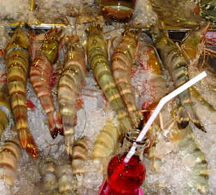 Frischer Fisch
