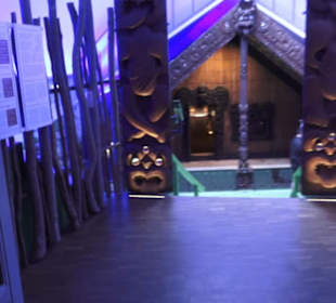 Museum für Völkerkunde