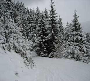 Am Achensee. Schnee, Schnee, Schnee