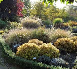 Herbststimmung im Dorfgarten Dötlingen