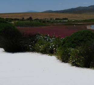 Arabella Golf Resort