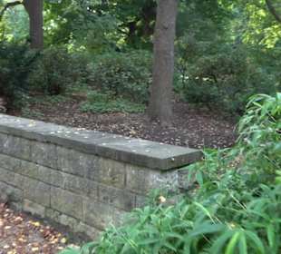 Englischer Garten