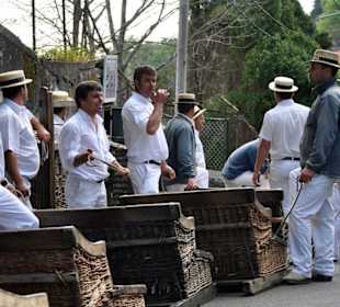 Schlittenabfahrt in Monte