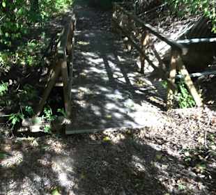 Baumlehrpfad Zollertal