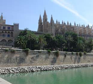 Dom in Palma