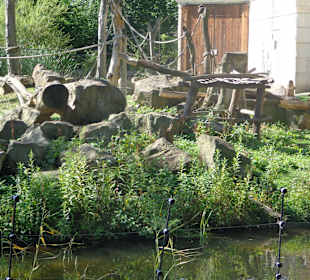 Panda Gehege