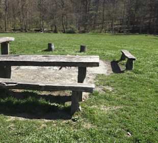 Grillstelle am Markwasen 