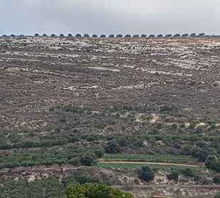 Inselrundfahrt Kreta