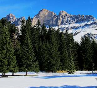 Rosengarten im Schnee