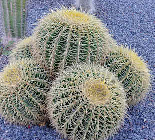 Stadtrundgang San Agustín