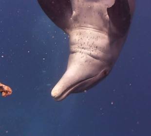 Wunderschöne Momente...