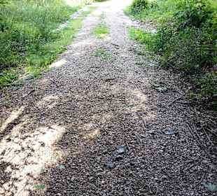 Fußweg abwärts Gedenkplatz