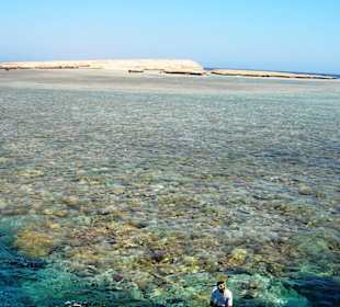 Schönes Riff zum Schnorcheln