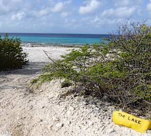 Kennzeichnung Dive Spot