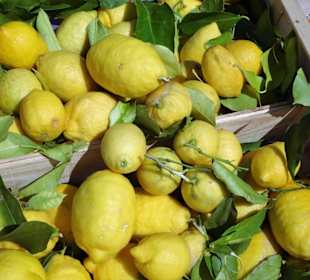 Impressionen vom Wochenmarkt Saint-Cyprien-Plage