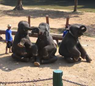 Sind wir nicht süß?