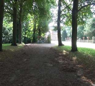 Schlosspark - Maulbeerbaumallee