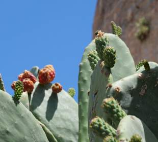 Insel Spinalonga / Kalidonia
