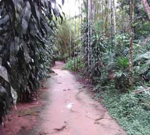 Cachoeira da Pedra Branca